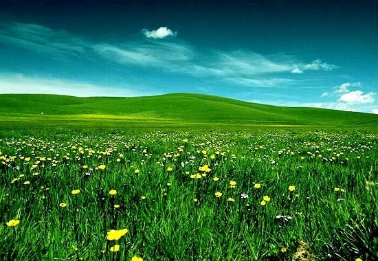 QQ图片20140522232654